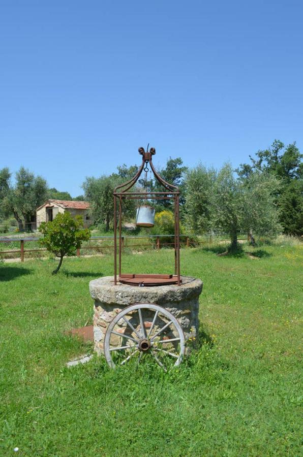 Maison d'hôtes La Casina Degli Olivi à Seggiano Extérieur photo